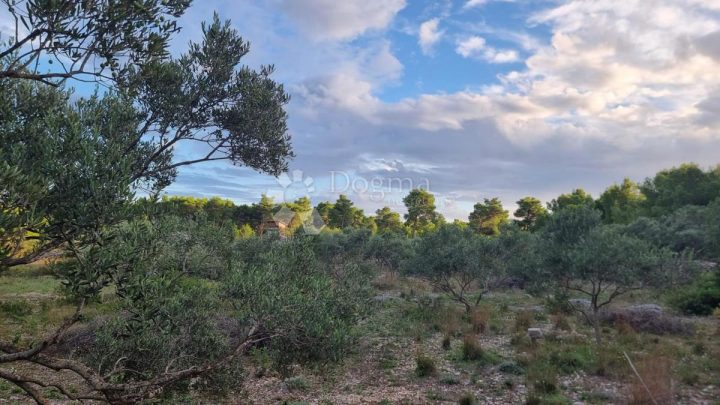 Land For sale - Splitsko-dalmatinska Brač - foto 2/4