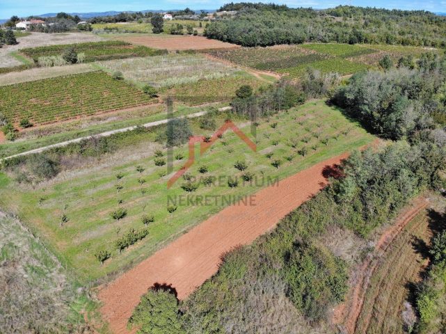 Land For sale - Istarska Vižinada - foto 4/7
