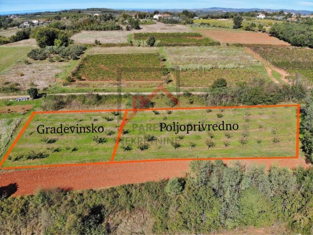 Land For sale - Istarska Vižinada - foto 5/7