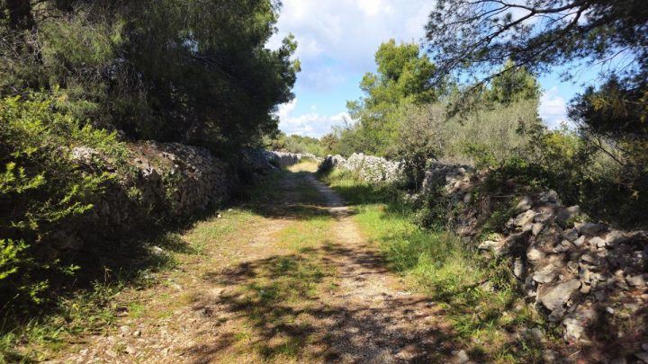 Terrain À vendre - Zadarska Ugljan - foto 2/5