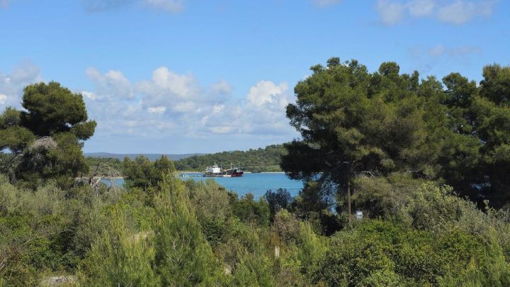 Terrain À vendre - Zadarska Ugljan - foto 3/5