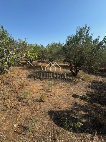 Maison À vendre - šibensko-kninska Vodice - foto 5/21