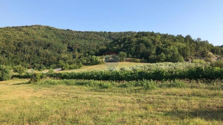 Parcela Naprodaj - Istarska Pazin - foto 2/3