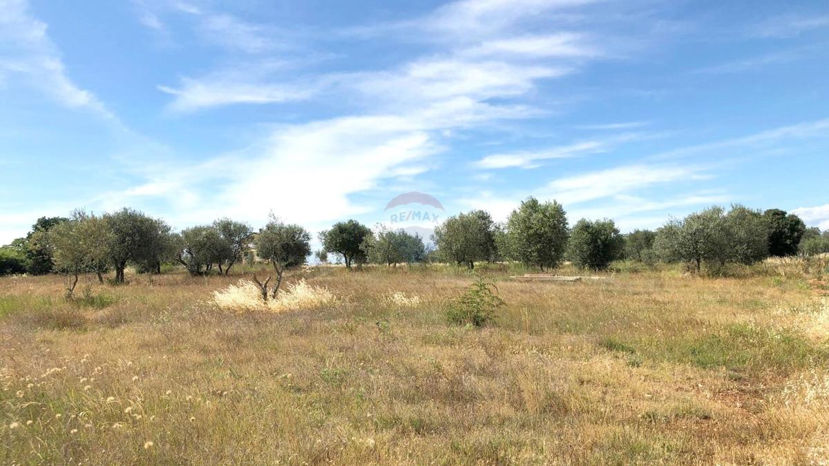 Pozemok Na predaj - ISTARSKA UMAG