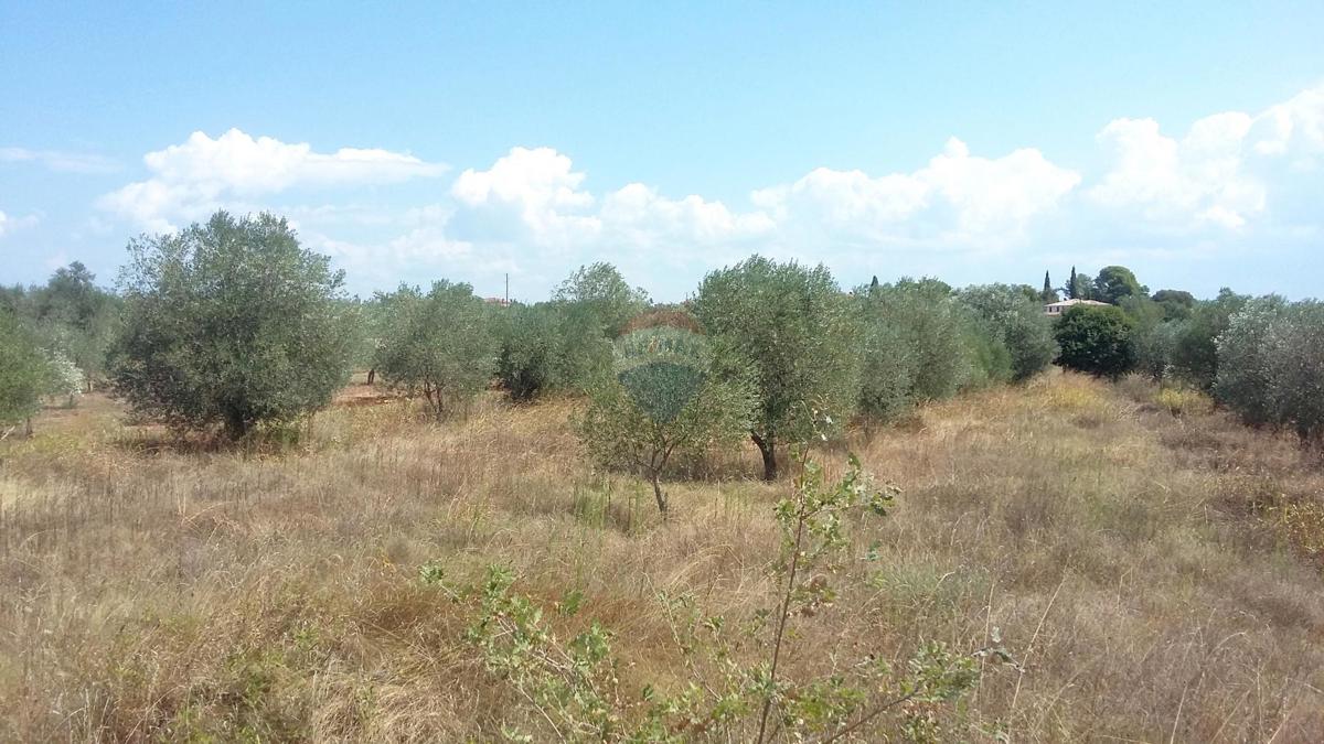 Pozemok Na predaj - ISTARSKA UMAG