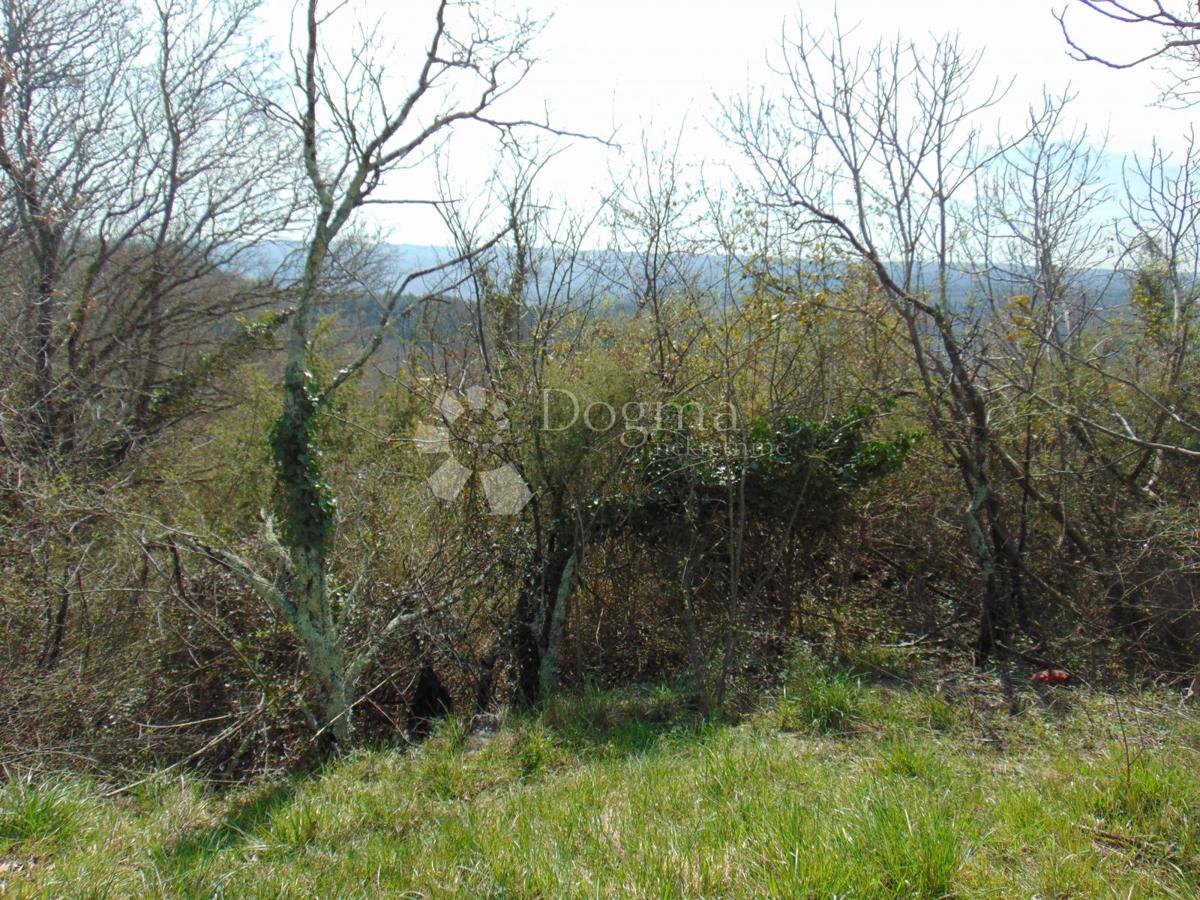 Land For sale - ISTARSKA BUJE