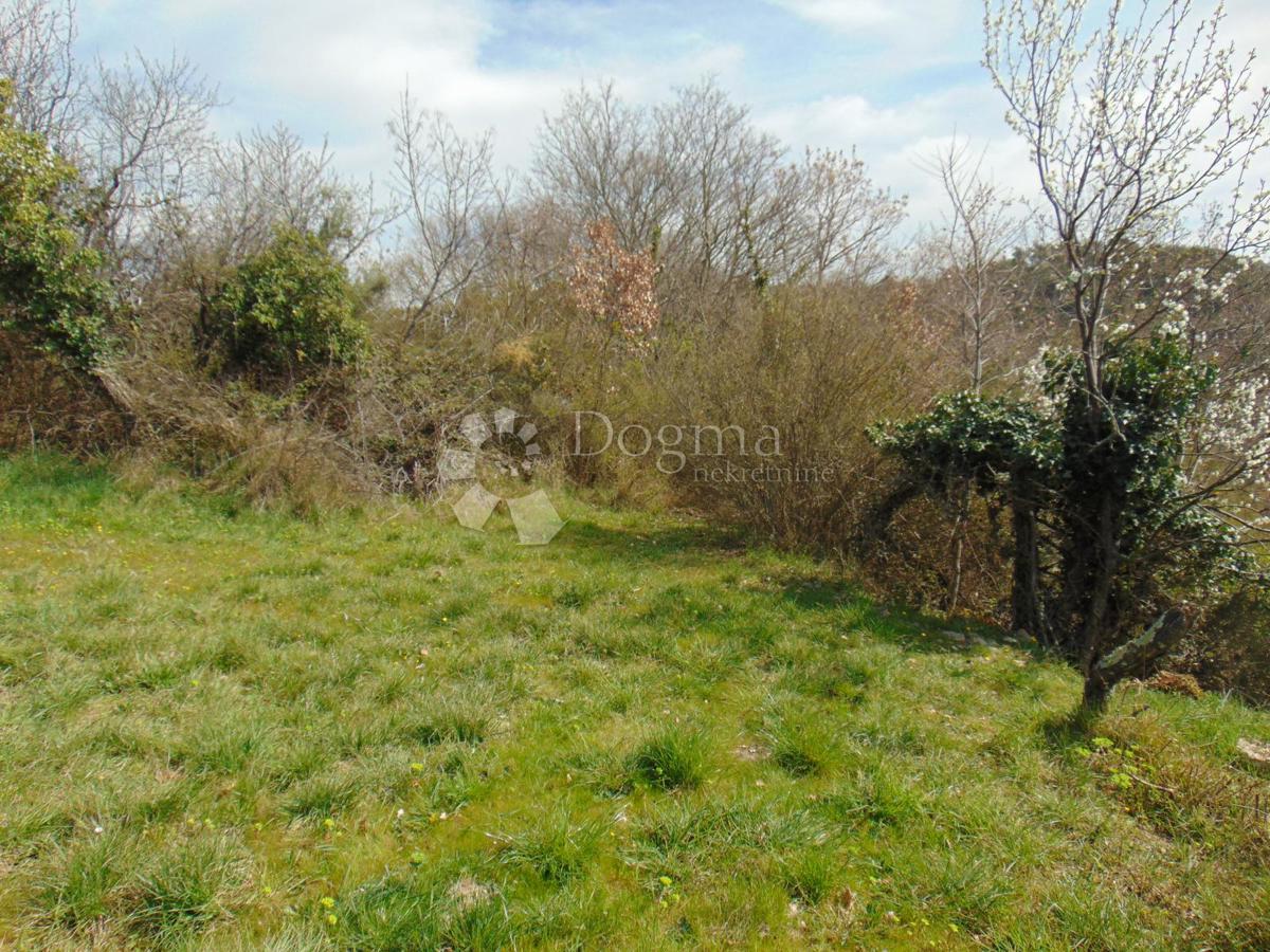 Land For sale - ISTARSKA BUJE