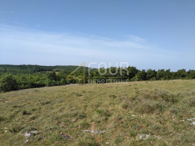 Parcela Naprodaj - Istarska Višnjan - foto 2/8