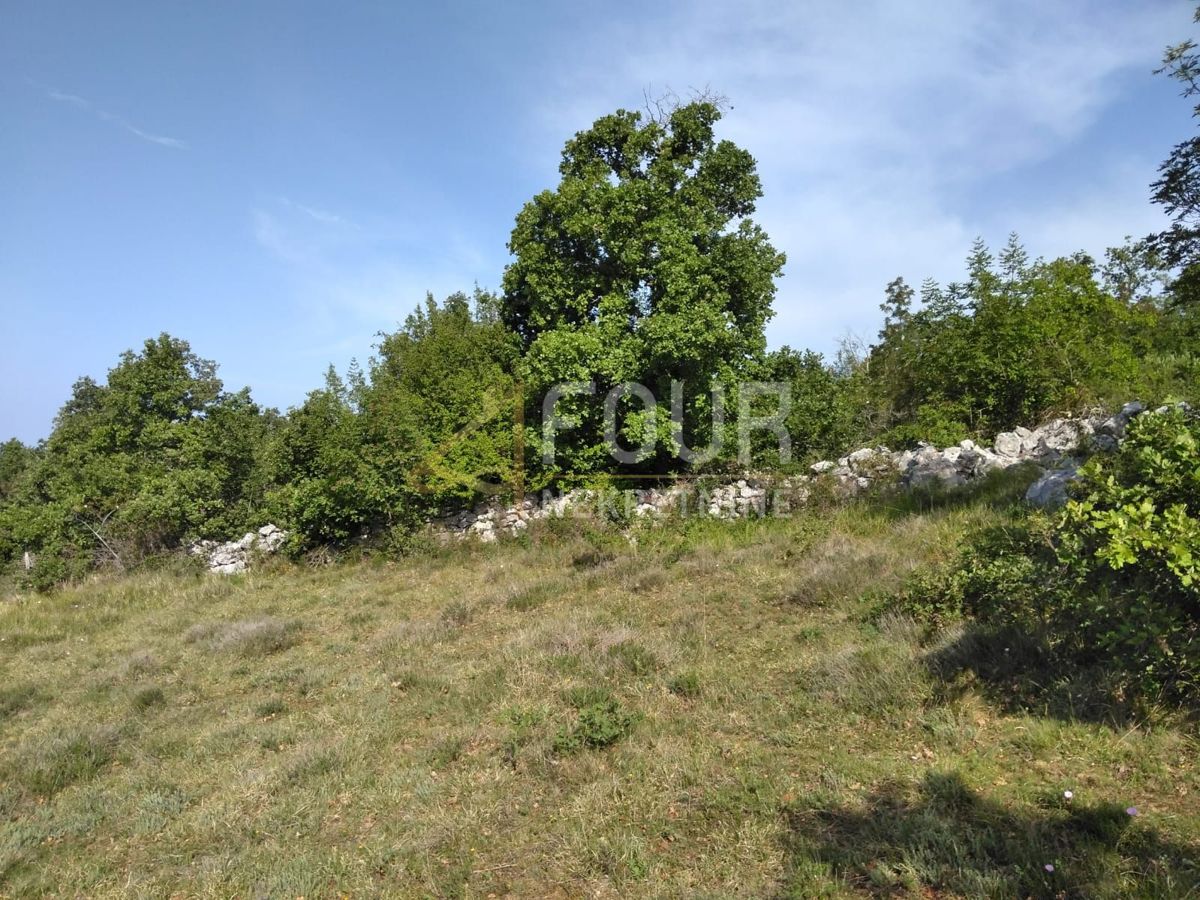 Land For sale - ISTARSKA VIŠNJAN