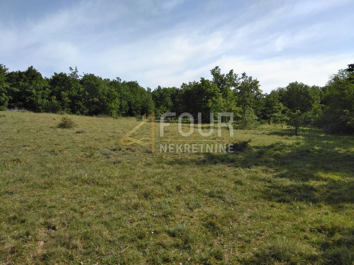 Land For sale - ISTARSKA VIŠNJAN