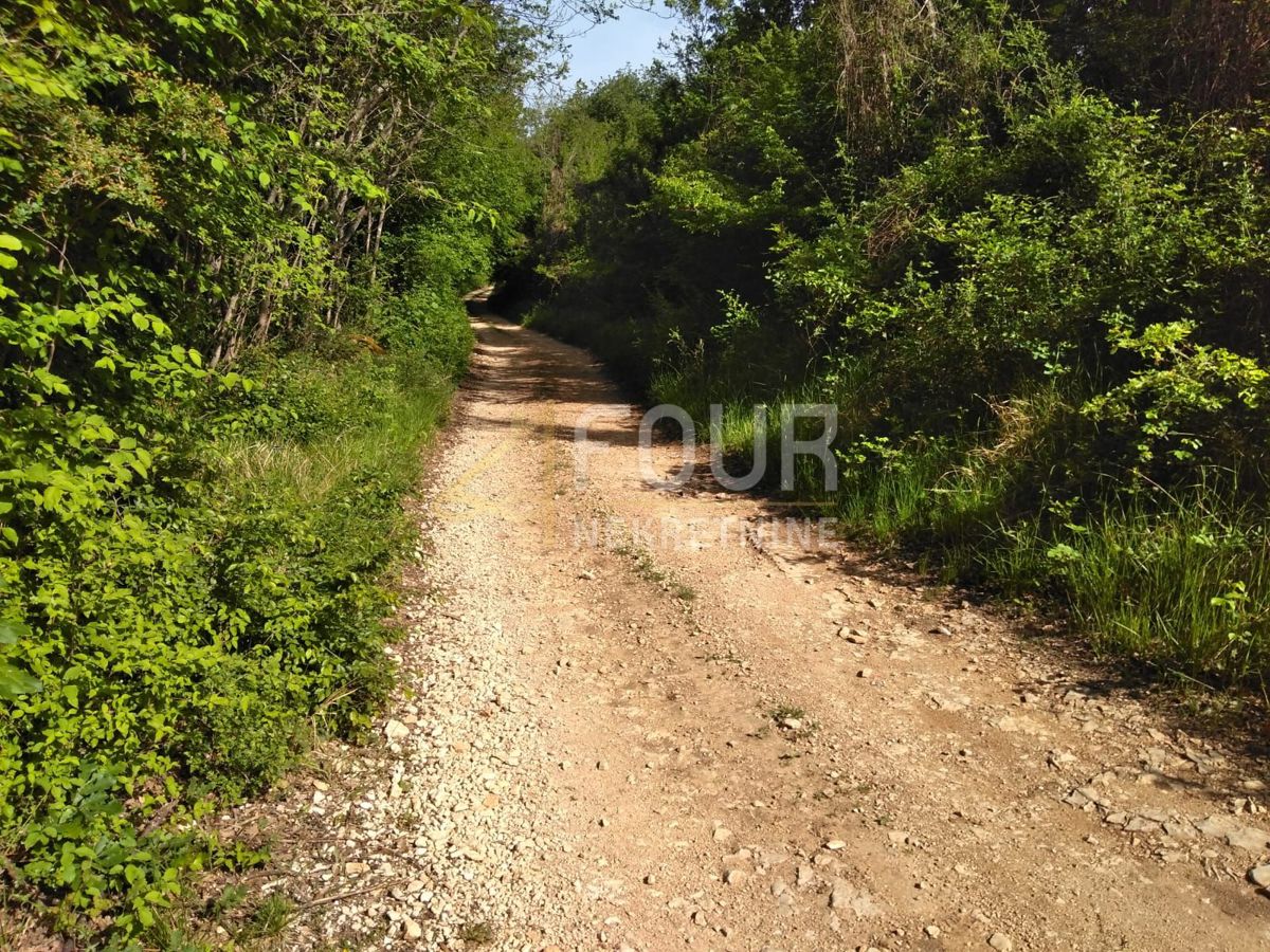 Land For sale - ISTARSKA VIŠNJAN