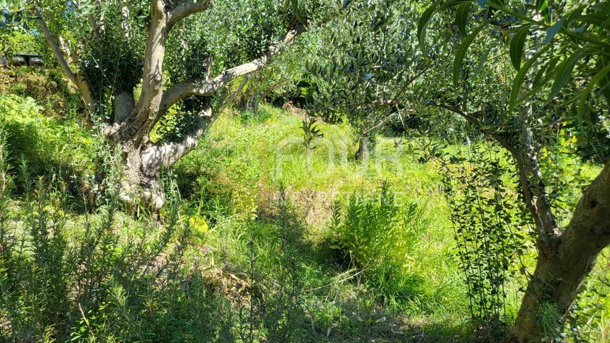 House For sale - ZADARSKA RAŽANAC