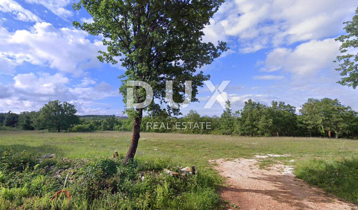 Land For sale - ISTARSKA VIŠNJAN