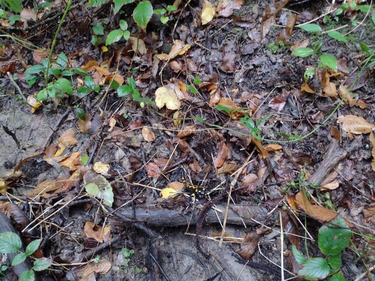 Terreno In vendita - SISAČKO-MOSLAVAČKA GVOZD