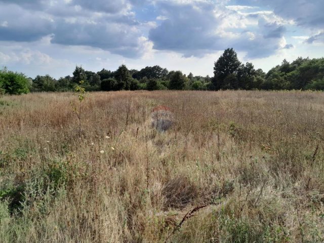 Terreno In vendita - Istarska Svetvinčenat - foto 2/3