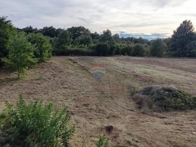Terreno In vendita - Istarska Svetvinčenat - foto 3/3