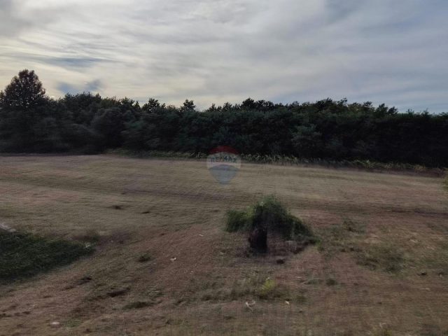 Parcela Naprodaj - Istarska Svetvinčenat - foto 4/4