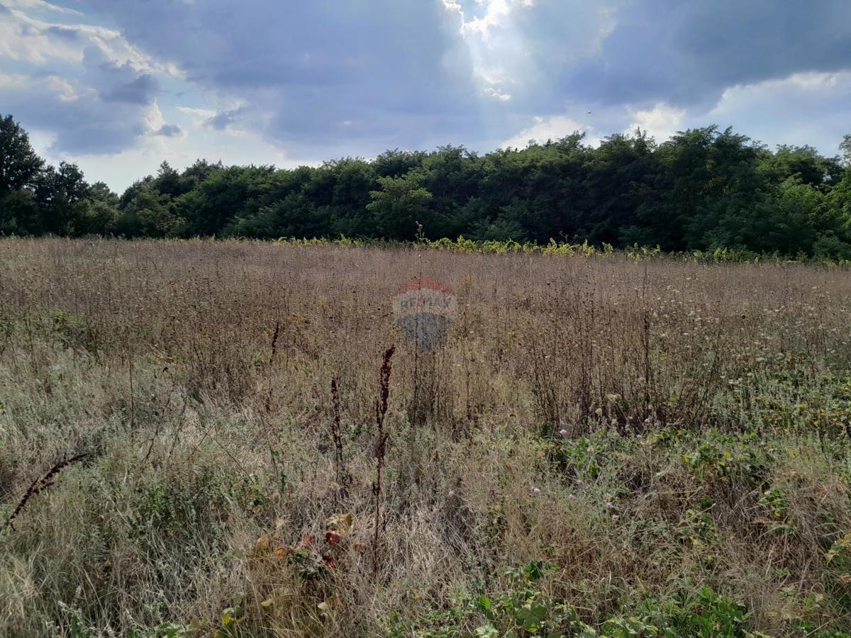 Terrain À vendre - Istarska Svetvinčenat - foto 1/3