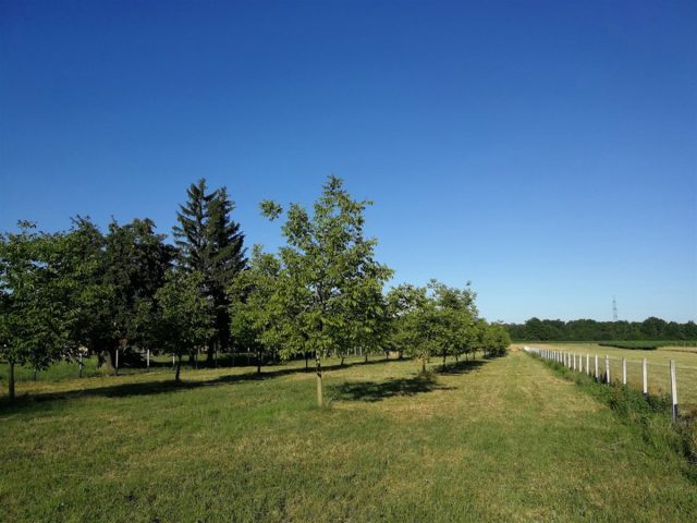 Terrain à vendre 4881 m² – Koprivnica