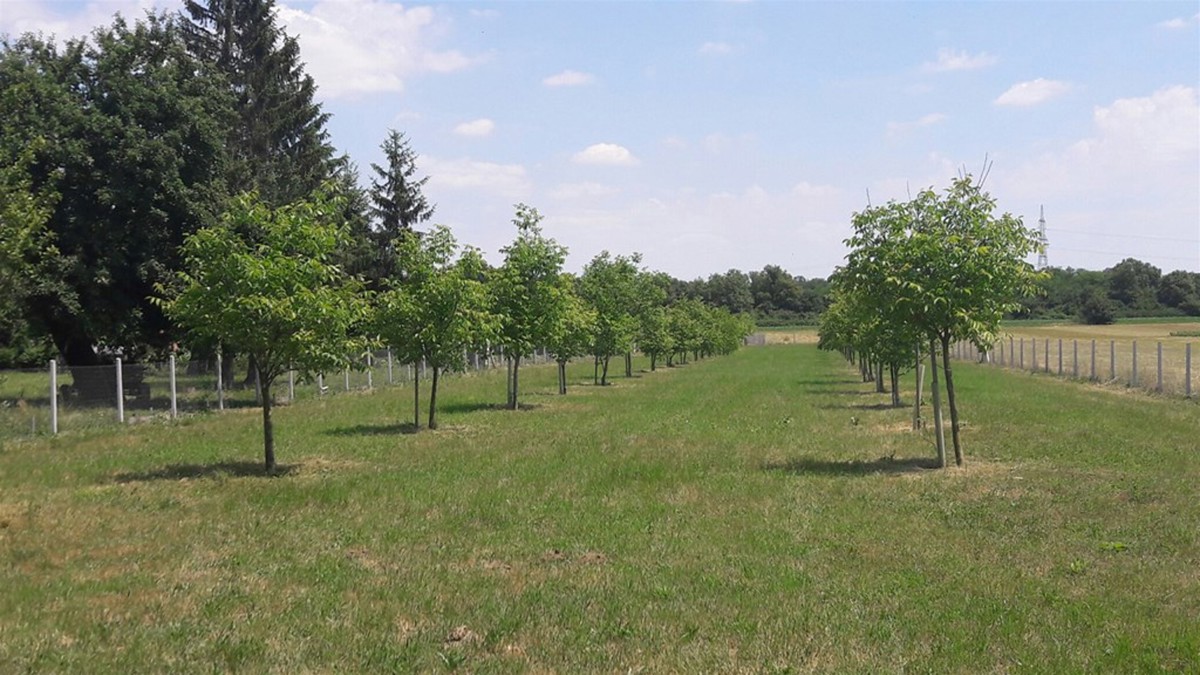 Pozemek Na prodej - KOPRIVNIČKO-KRIŽEVAČKA KOPRIVNICA