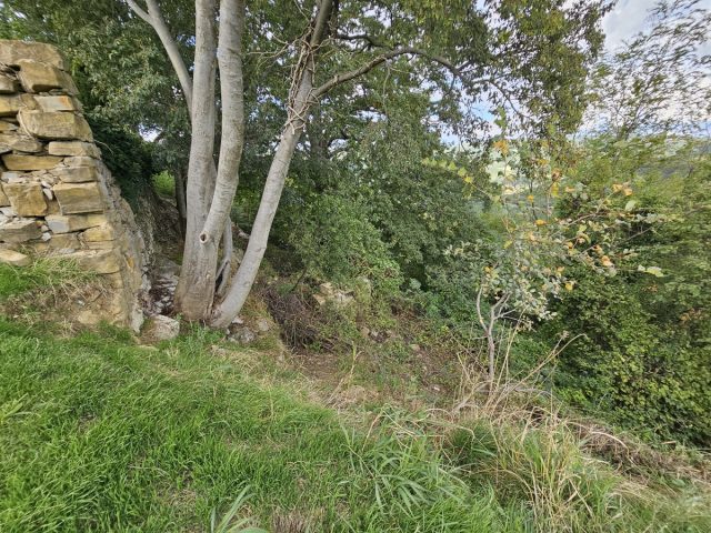 Terreno In vendita - Istarska Buje - foto 4/5