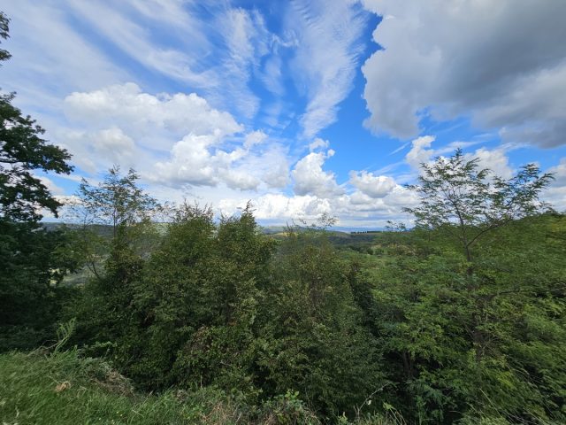 Terreno In vendita - Istarska Buje - foto 5/5