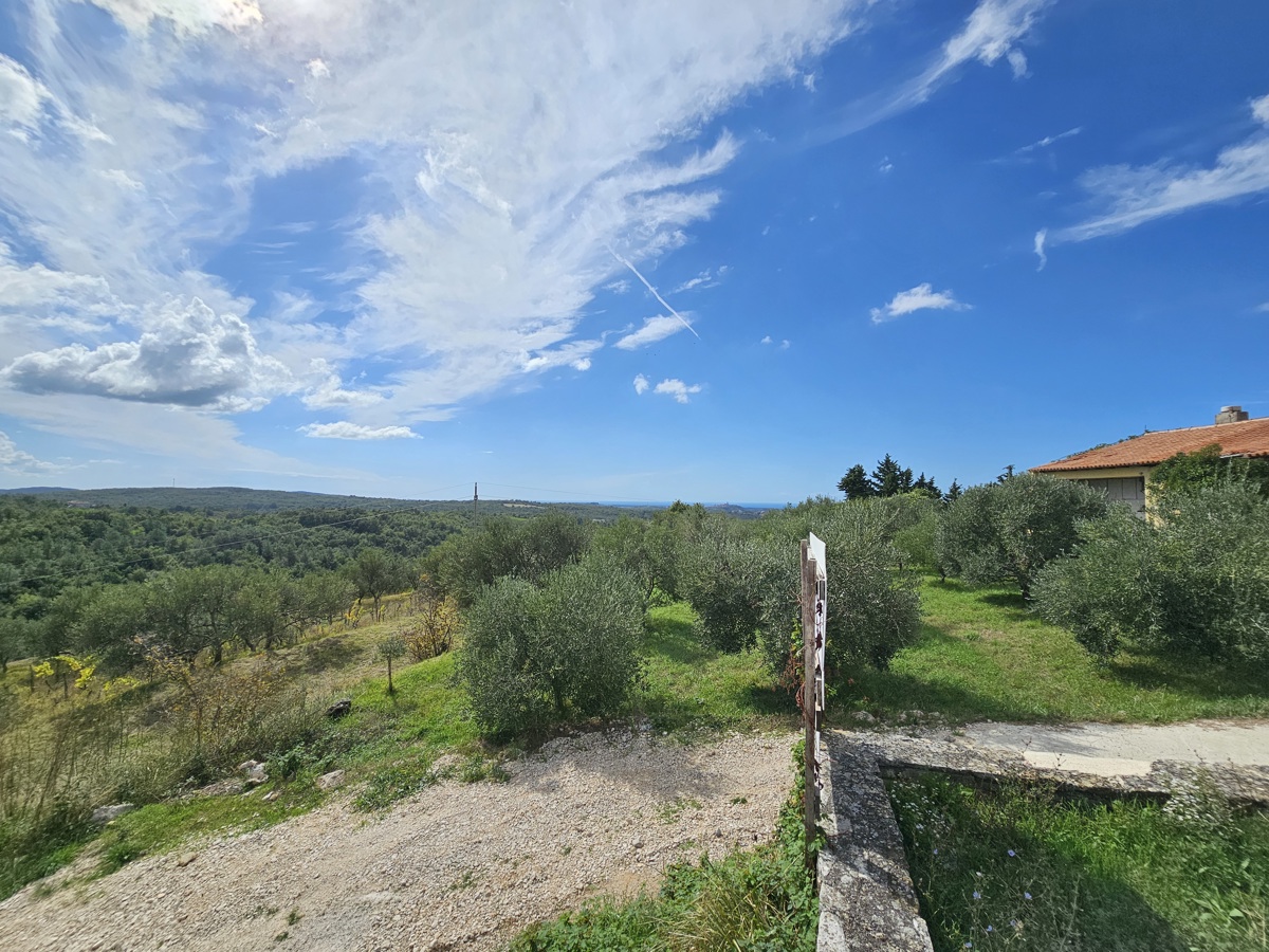 House For sale - ISTARSKA BUJE