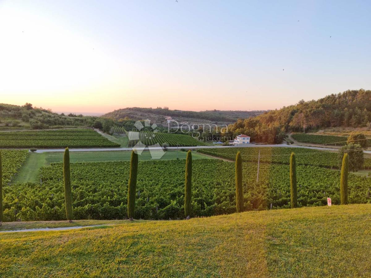 House For sale - ISTARSKA BUJE