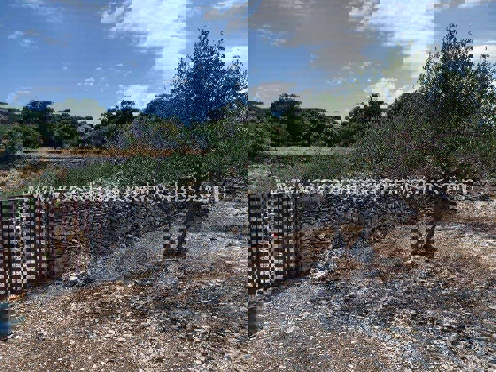 Land For sale - SPLITSKO-DALMATINSKA BRAČ
