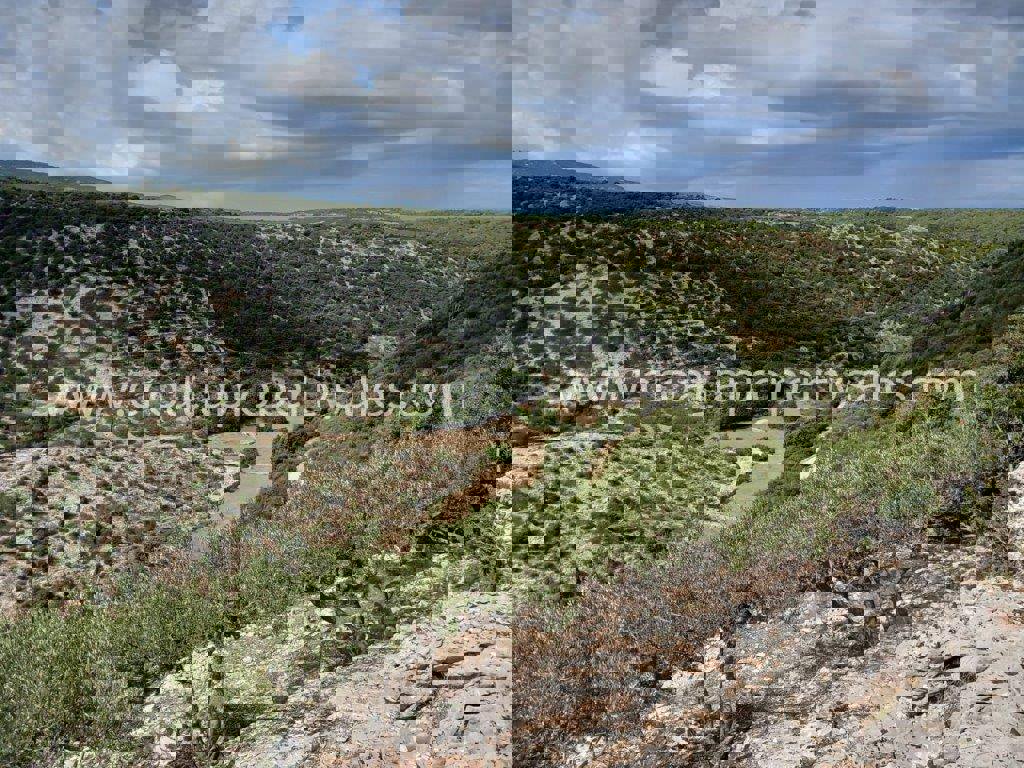Land For sale - SPLITSKO-DALMATINSKA BRAČ