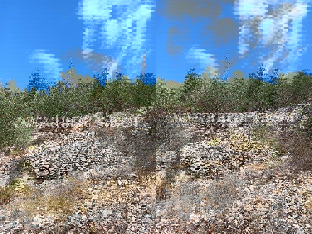 Land For sale - SPLITSKO-DALMATINSKA BRAČ