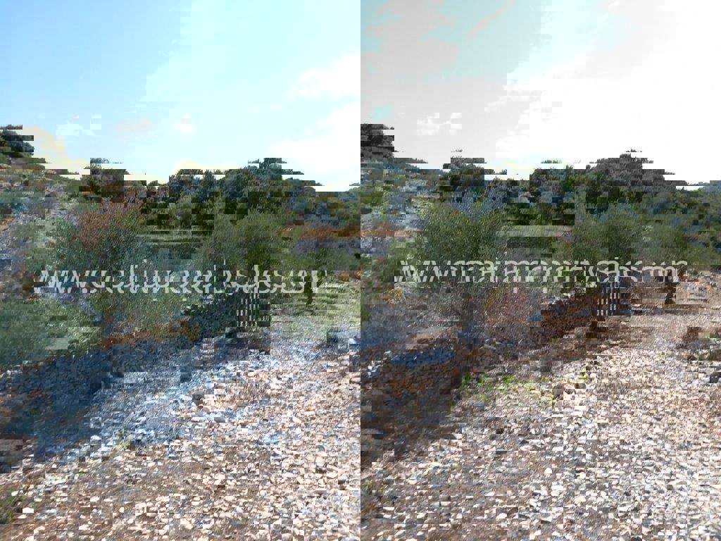 Land For sale - SPLITSKO-DALMATINSKA BRAČ