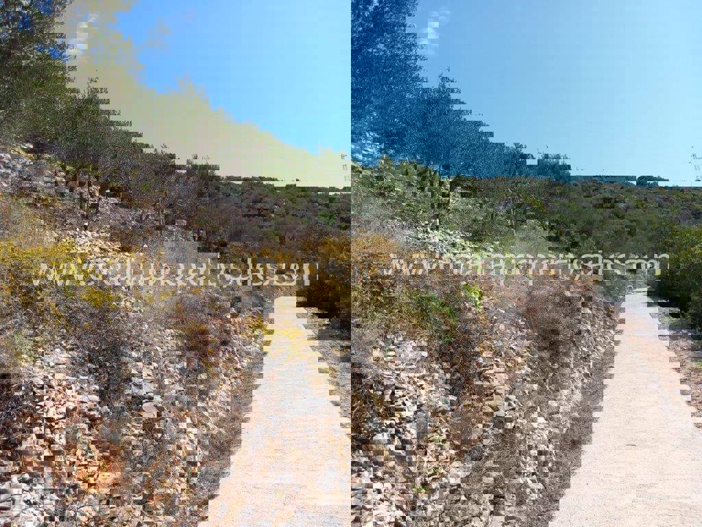 Land For sale - SPLITSKO-DALMATINSKA BRAČ