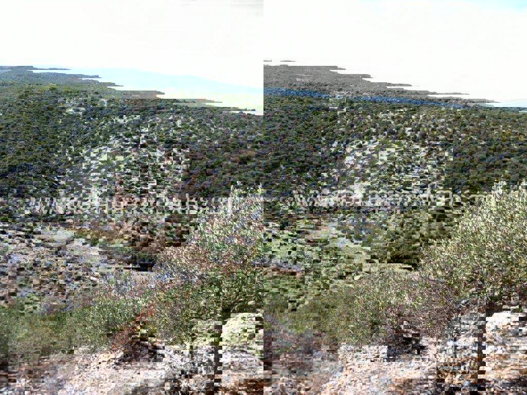Land For sale - SPLITSKO-DALMATINSKA BRAČ