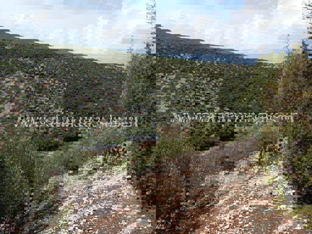 Land For sale - SPLITSKO-DALMATINSKA BRAČ