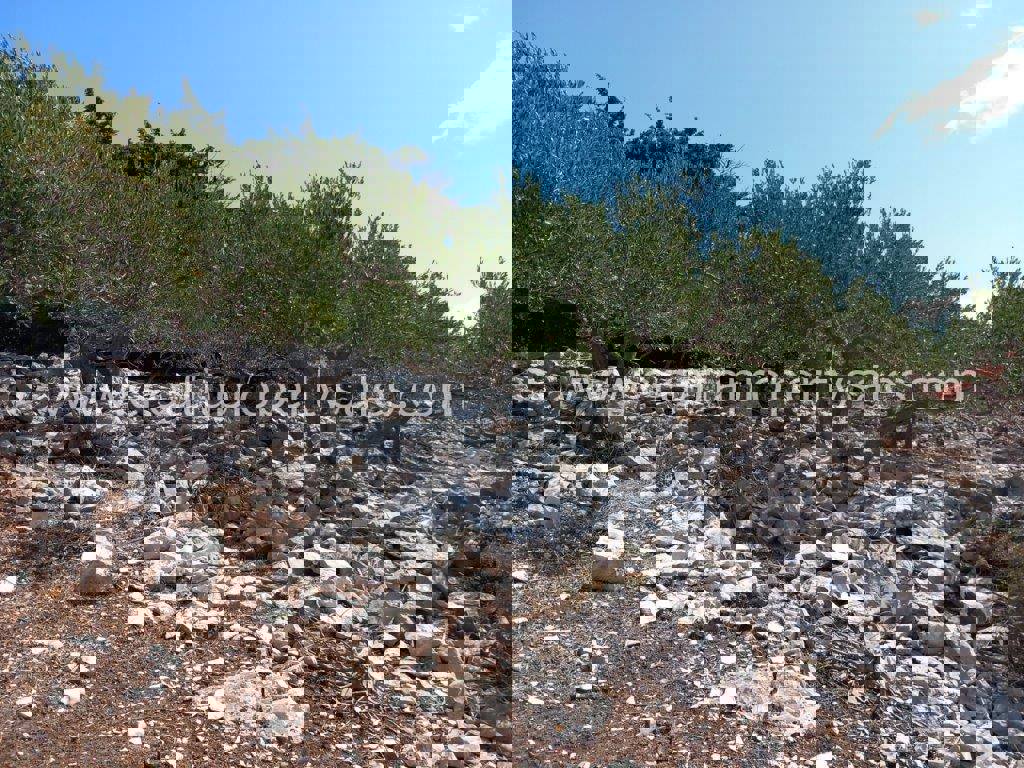 Land For sale - SPLITSKO-DALMATINSKA BRAČ