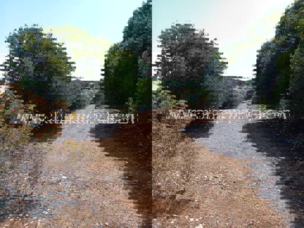 Land For sale - SPLITSKO-DALMATINSKA BRAČ
