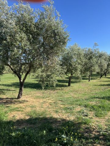 Grundstück zu verkaufen 1380 m² – Murvica