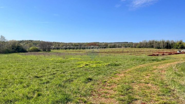 Zemljište na prodaju 13364 m² – Nova Vas