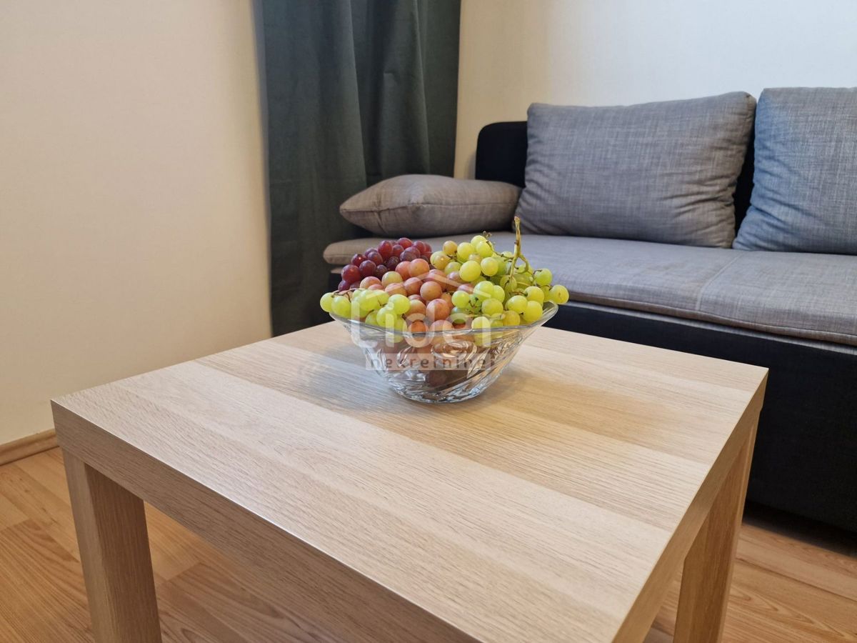 Apartmán Na prenájom - PRIMORSKO-GORANSKA RIJEKA