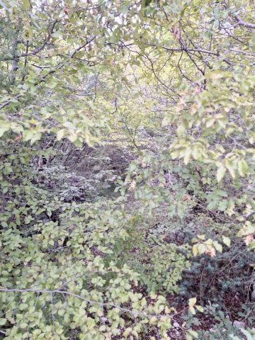 Land for sale 3701 m² – Garica
