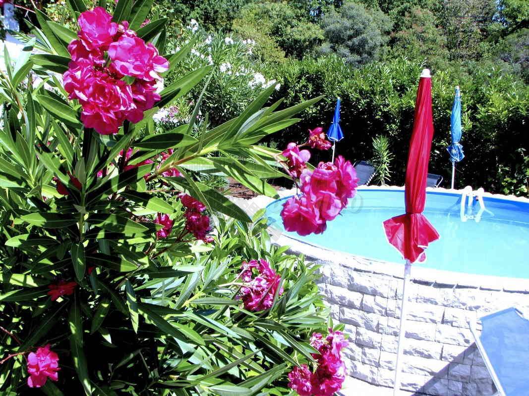 Casa In vendita - Primorsko-goranska Krk - foto 3/23