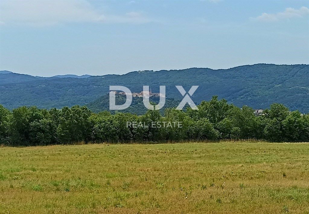 Land For sale - ISTARSKA BUZET