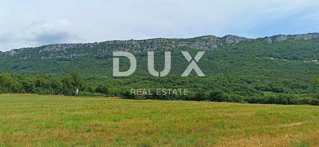 Land For sale - ISTARSKA BUZET