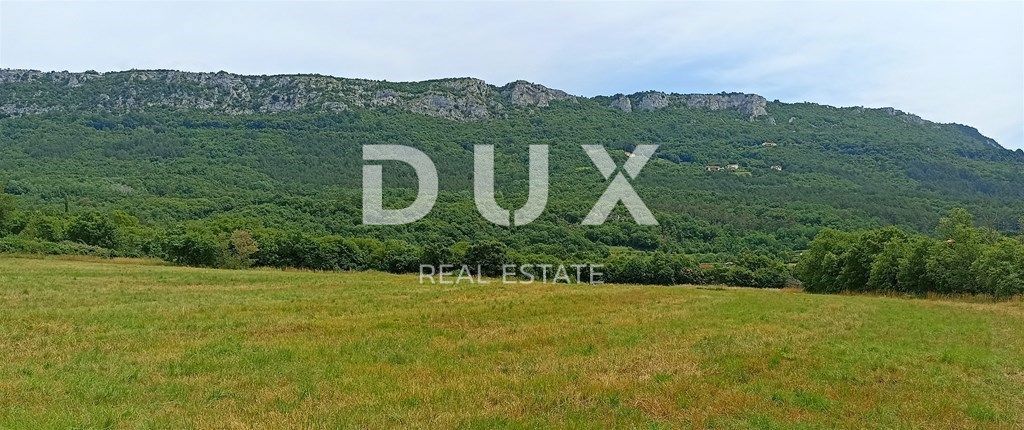 Land For sale - ISTARSKA BUZET