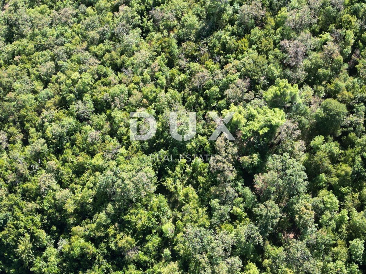Terrain À vendre - PRIMORSKO-GORANSKA OPATIJA