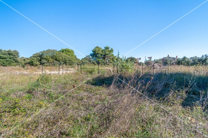 Terrain À vendre - Istarska Ližnjan - foto 3/3