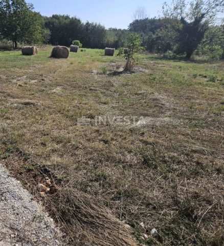 Terrain À vendre - Istarska žminj - foto 2/2