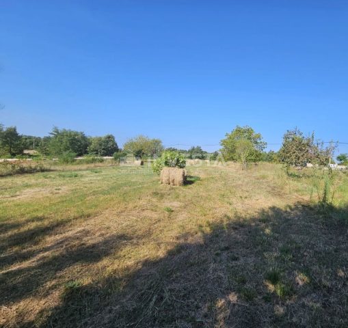 Pozemek Na prodej - Istarska žminj - foto 2/2