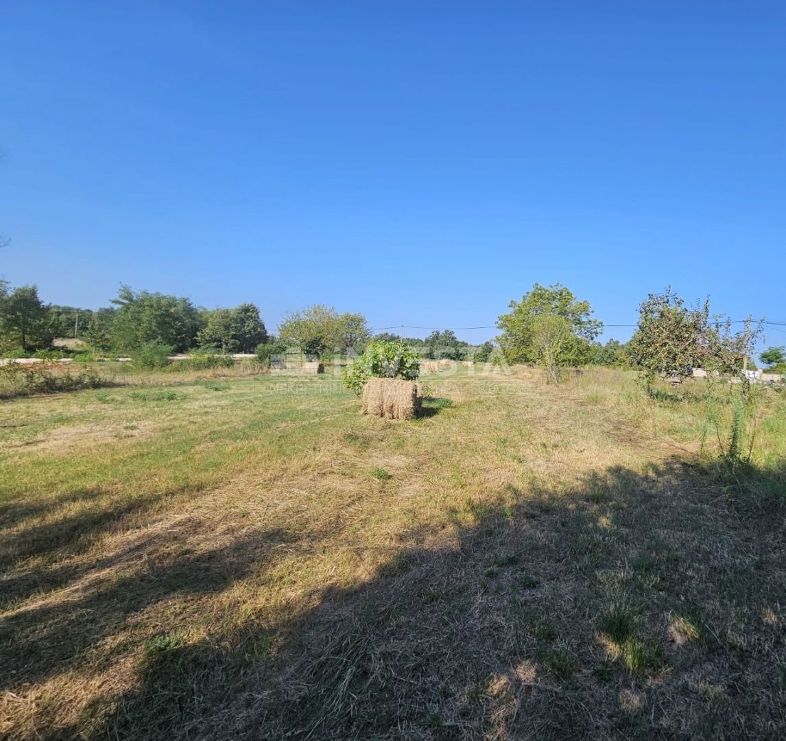 Terreno In vendita - Istarska žminj - foto 2/2